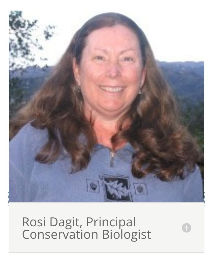 Rosi Dagit